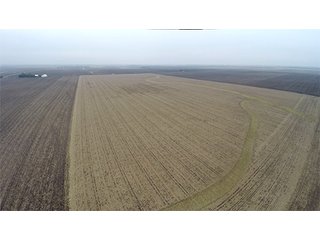 Property photo 15 - LAND AUCTION - 241.8+/- ACRES OFFERED IN 3 TRACTS IN SHELBY COUNTY, IL